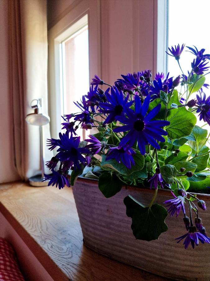 Glaadter Huette Villa Junkerath Bagian luar foto